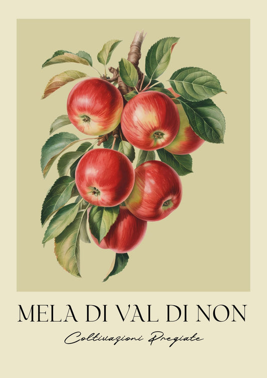 variant-21x30_no-margin