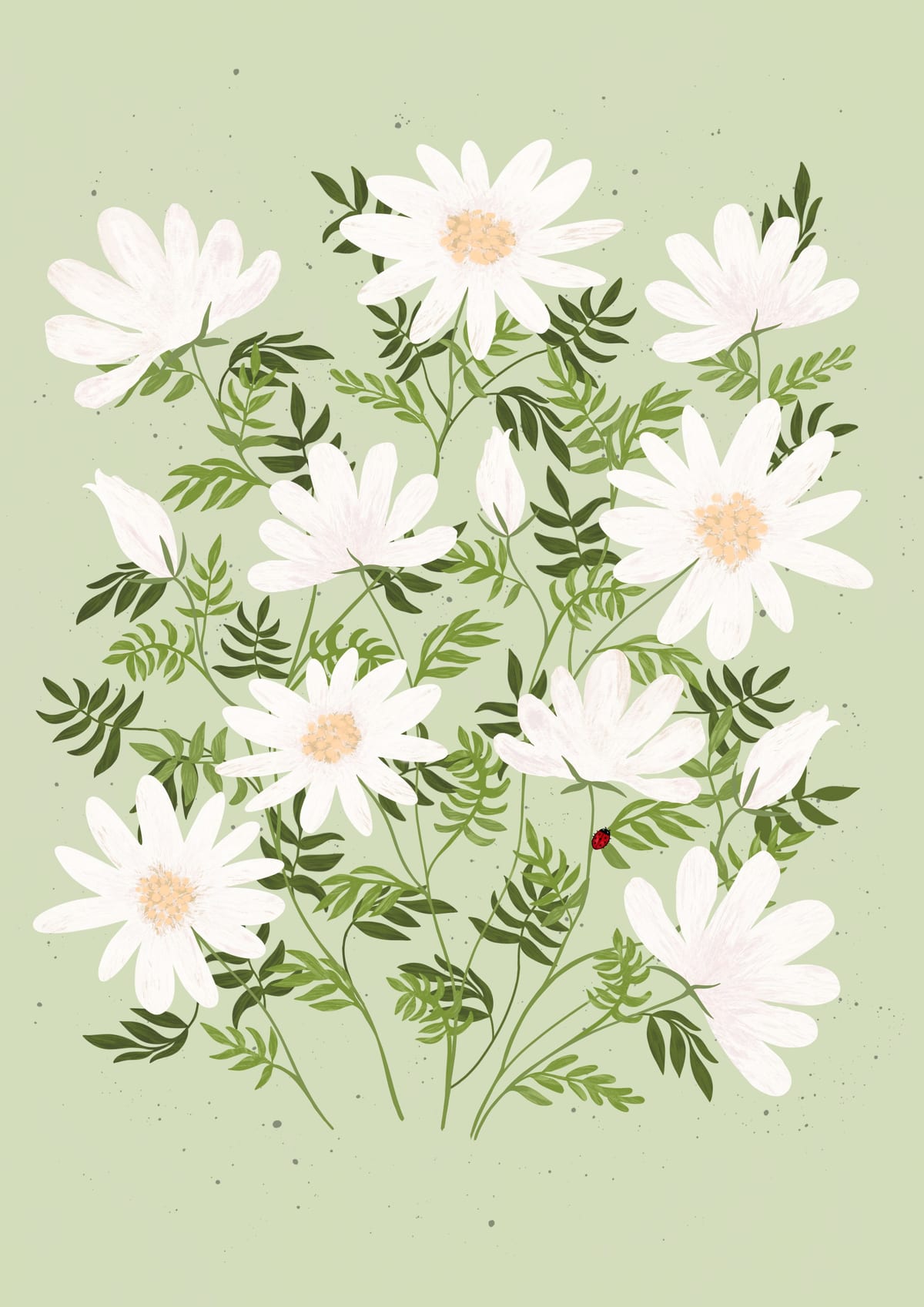 variant-21x30_no-margin