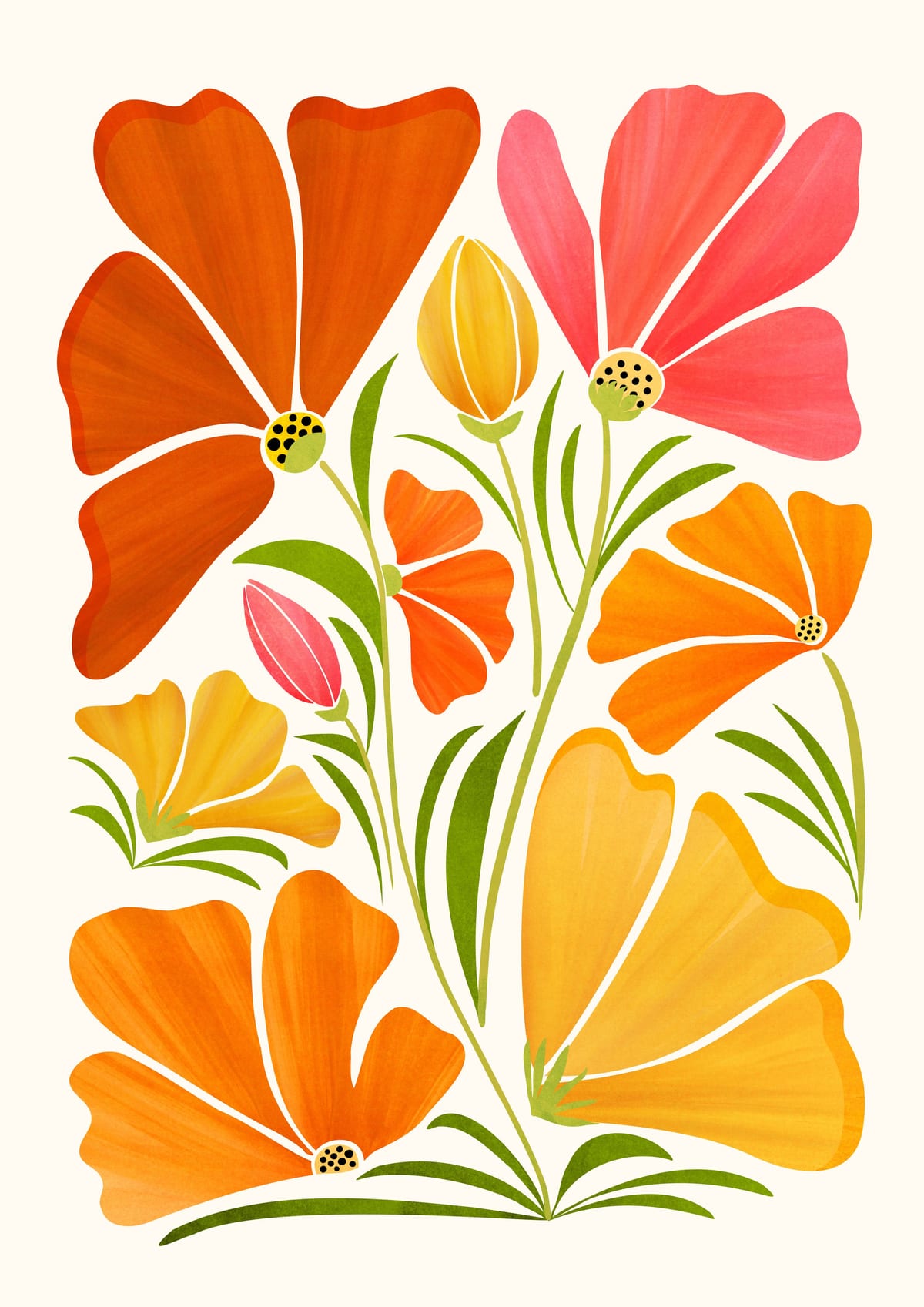 variant-21x30_no-margin
