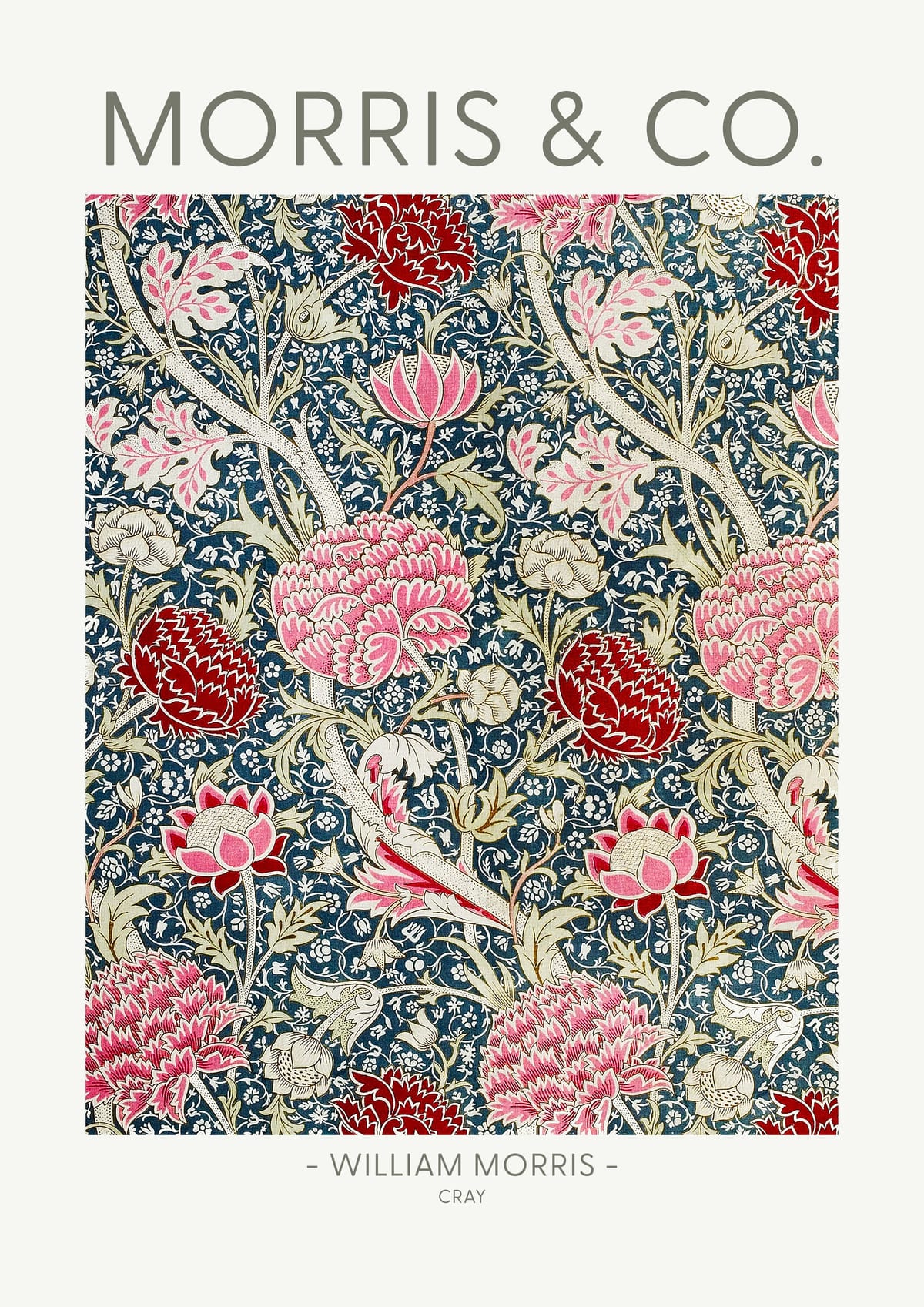variant-21x30_no-margin
