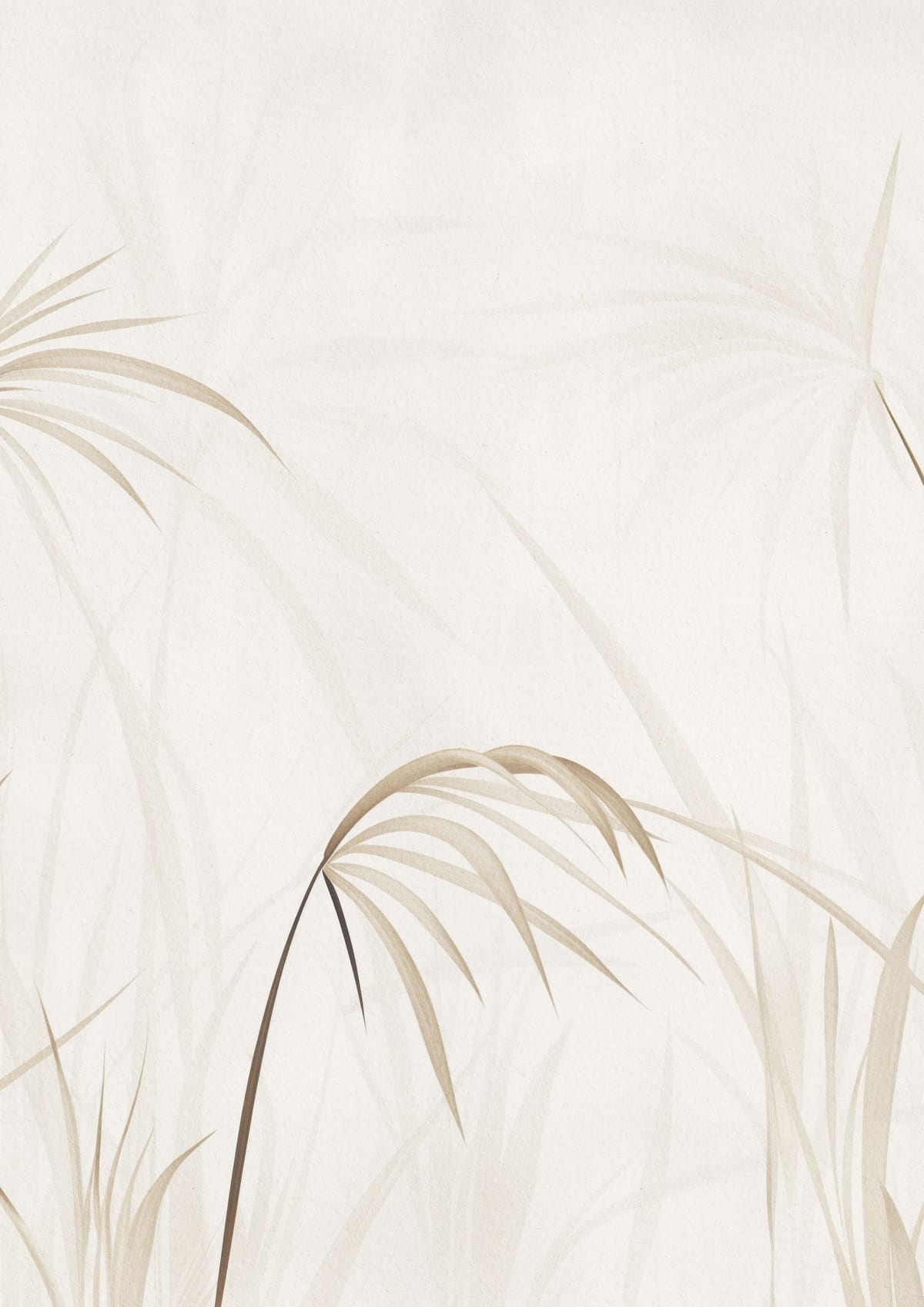 variant-21x30_no-margin