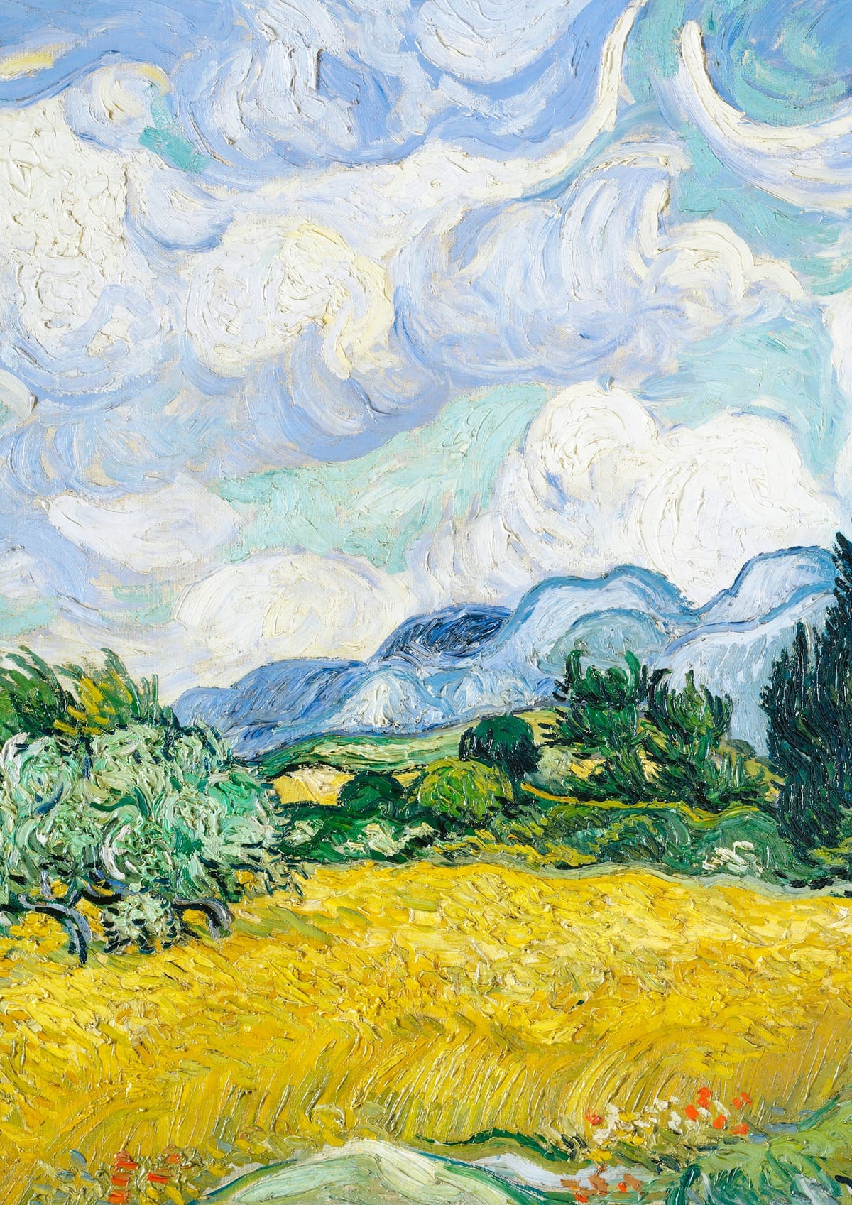 variant-21x30_no-margin