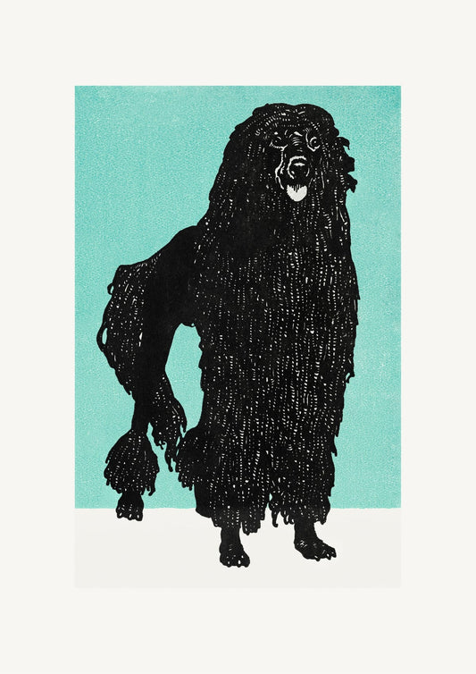 variant-21x30_no-margin