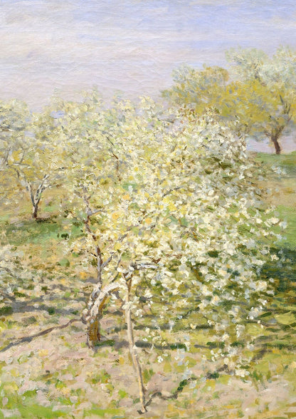 variant-21x30_no-margin