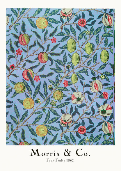 variant-21x30_no-margin