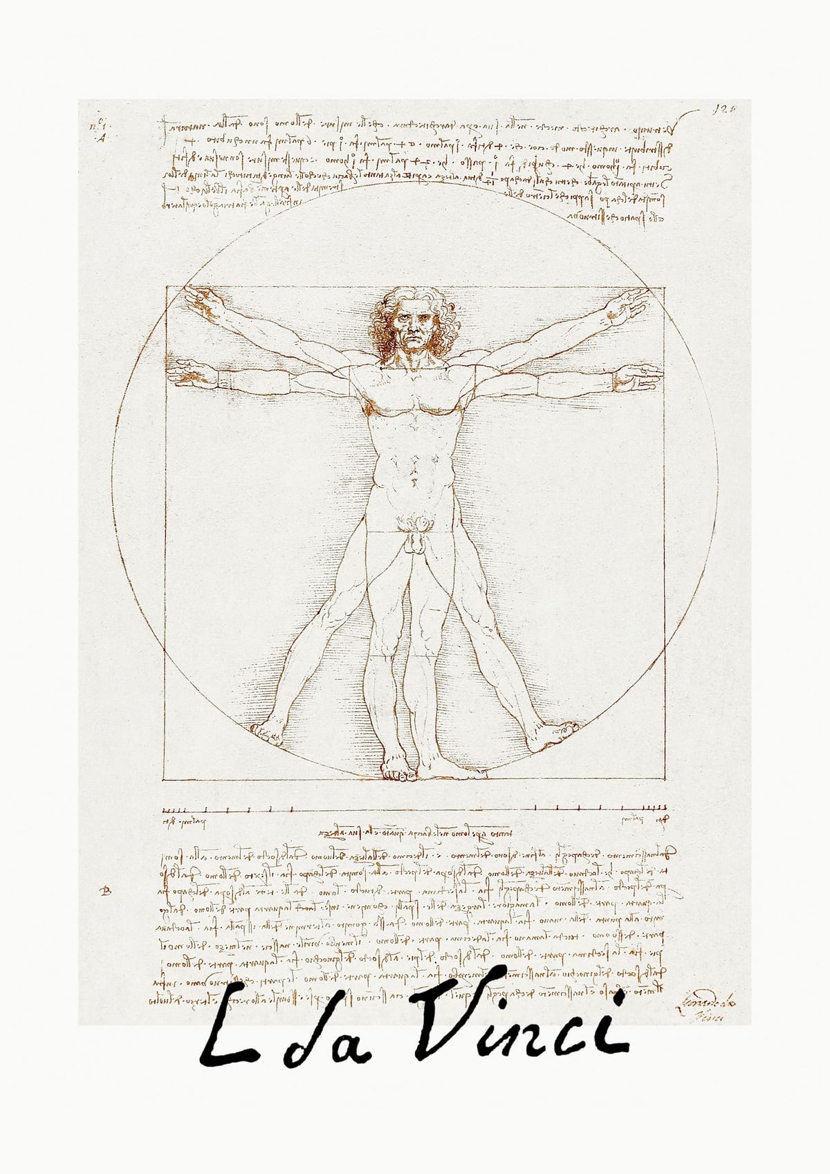 variant-21x30_no-margin