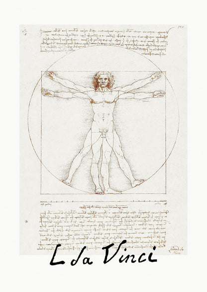 variant-21x30_no-margin