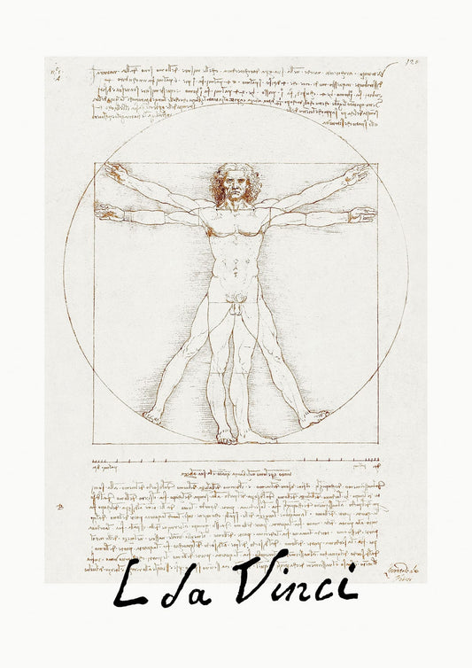 variant-21x30_no-margin