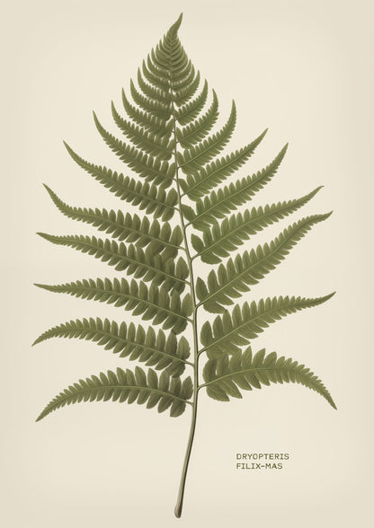 variant-21x30_no-margin