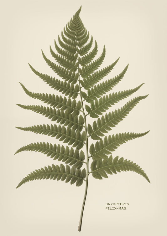 variant-21x30_no-margin