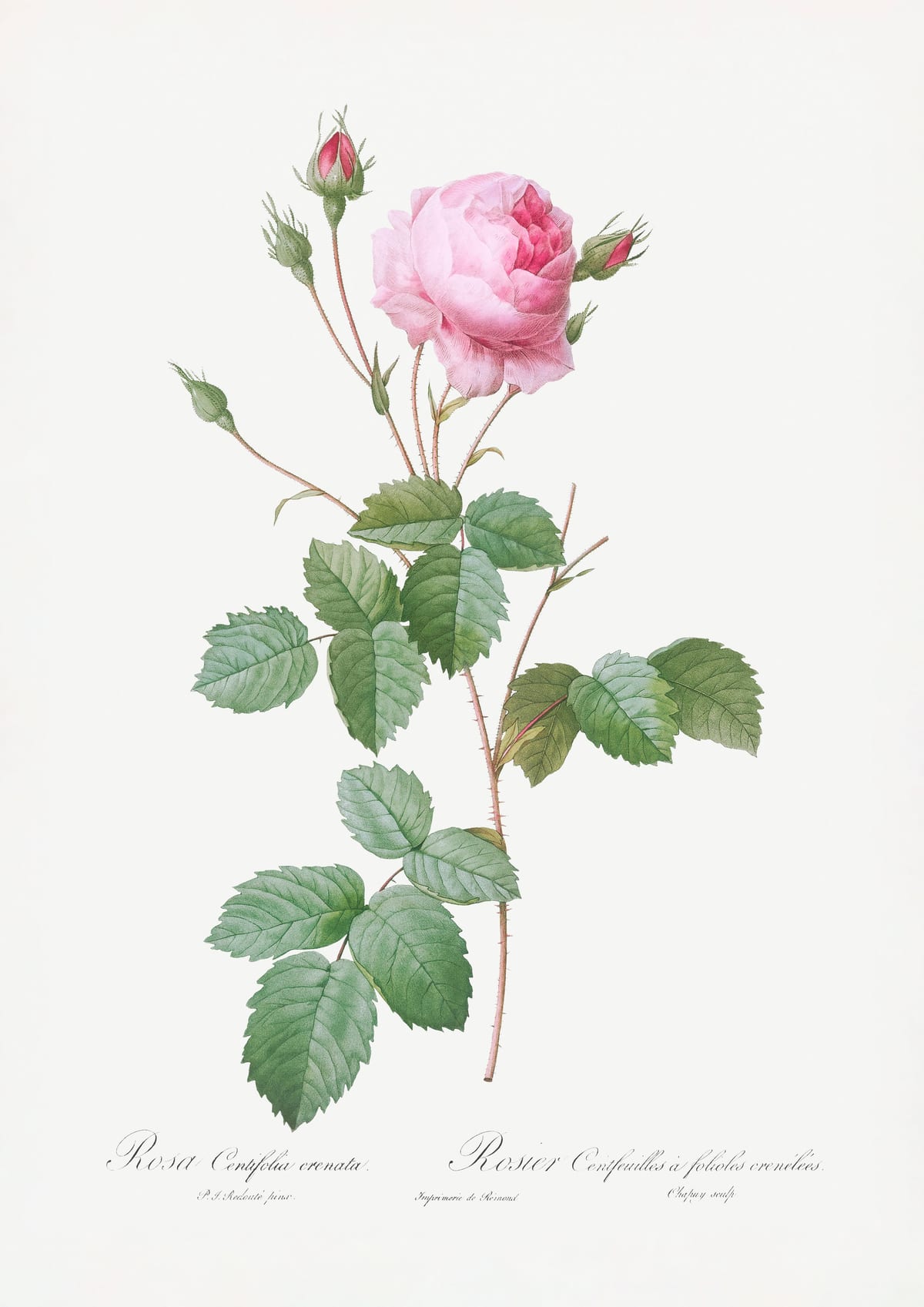 variant-21x30_no-margin