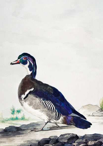 variant-21x30_no-margin