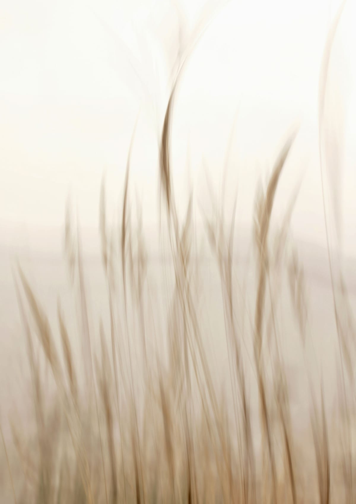 variant-21x30_no-margin