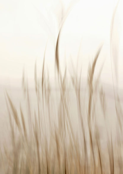 variant-21x30_no-margin
