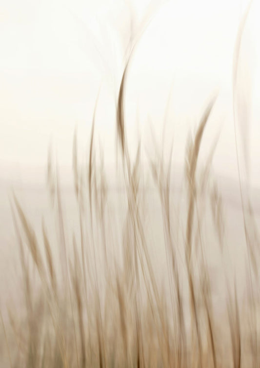 variant-21x30_no-margin
