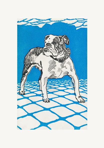 variant-21x30_no-margin