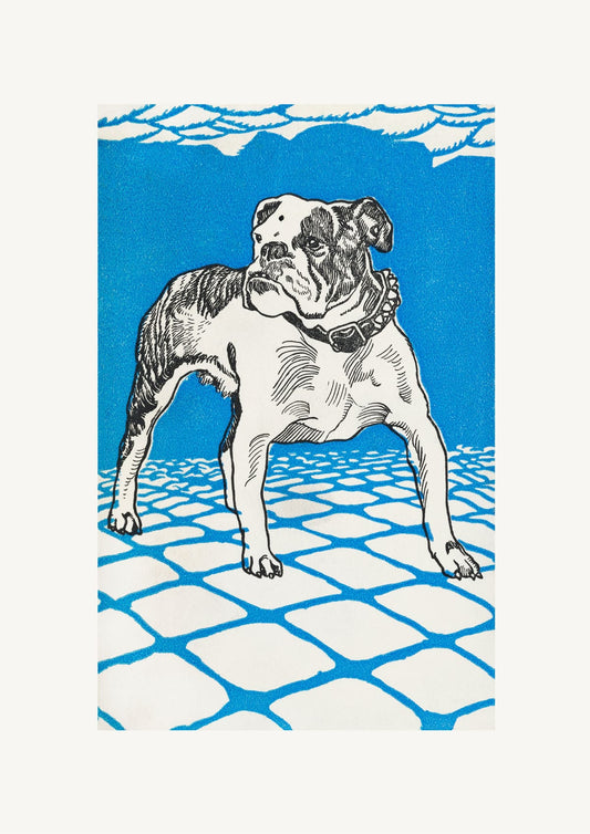 variant-21x30_no-margin