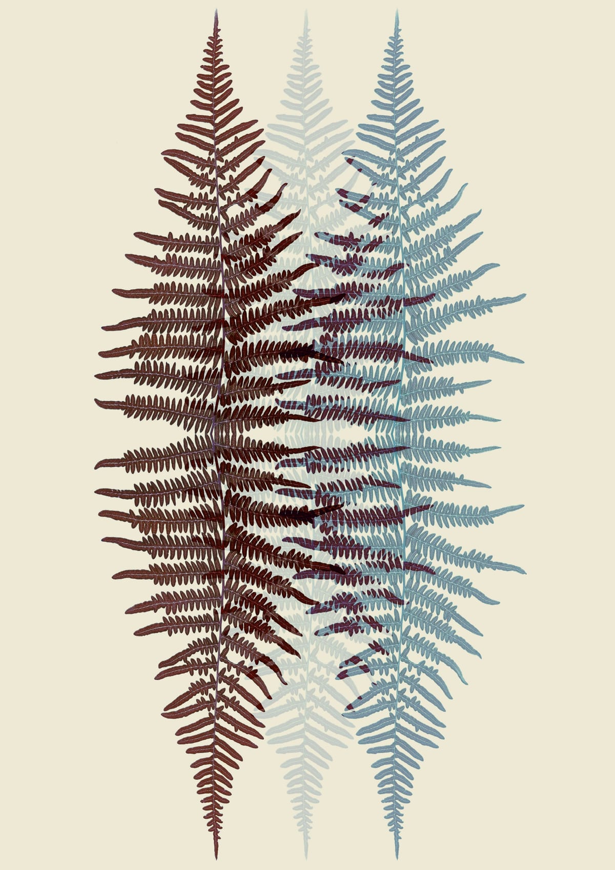 variant-21x30_no-margin