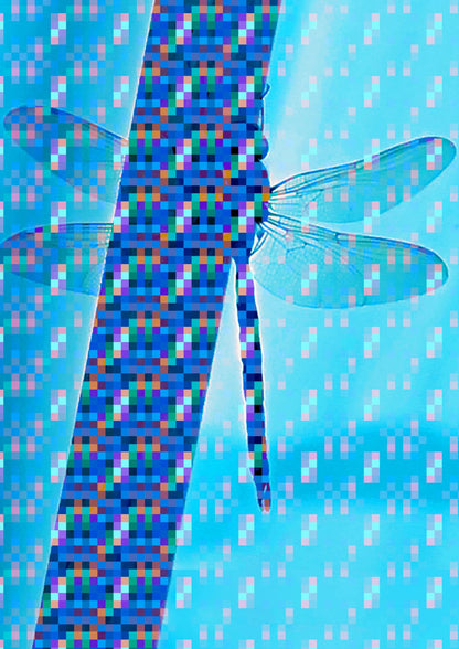 variant-21x30_no-margin