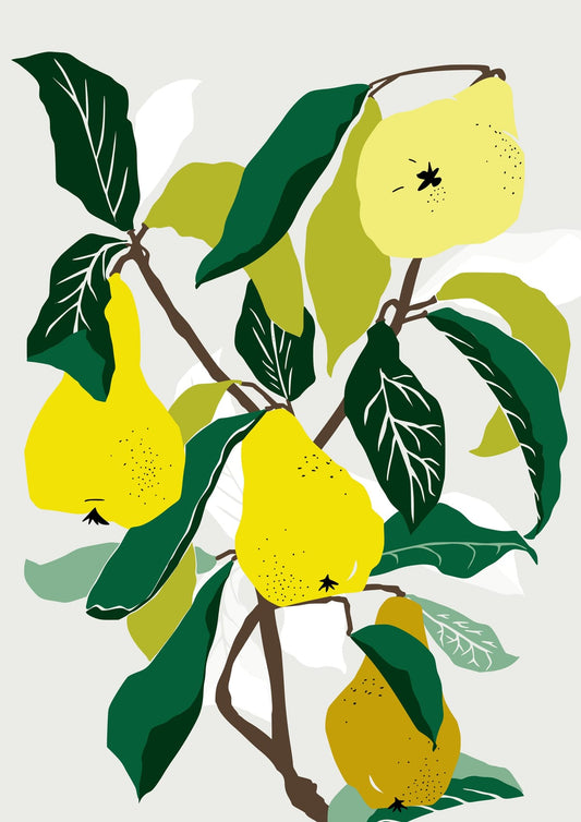 variant-21x30_no-margin