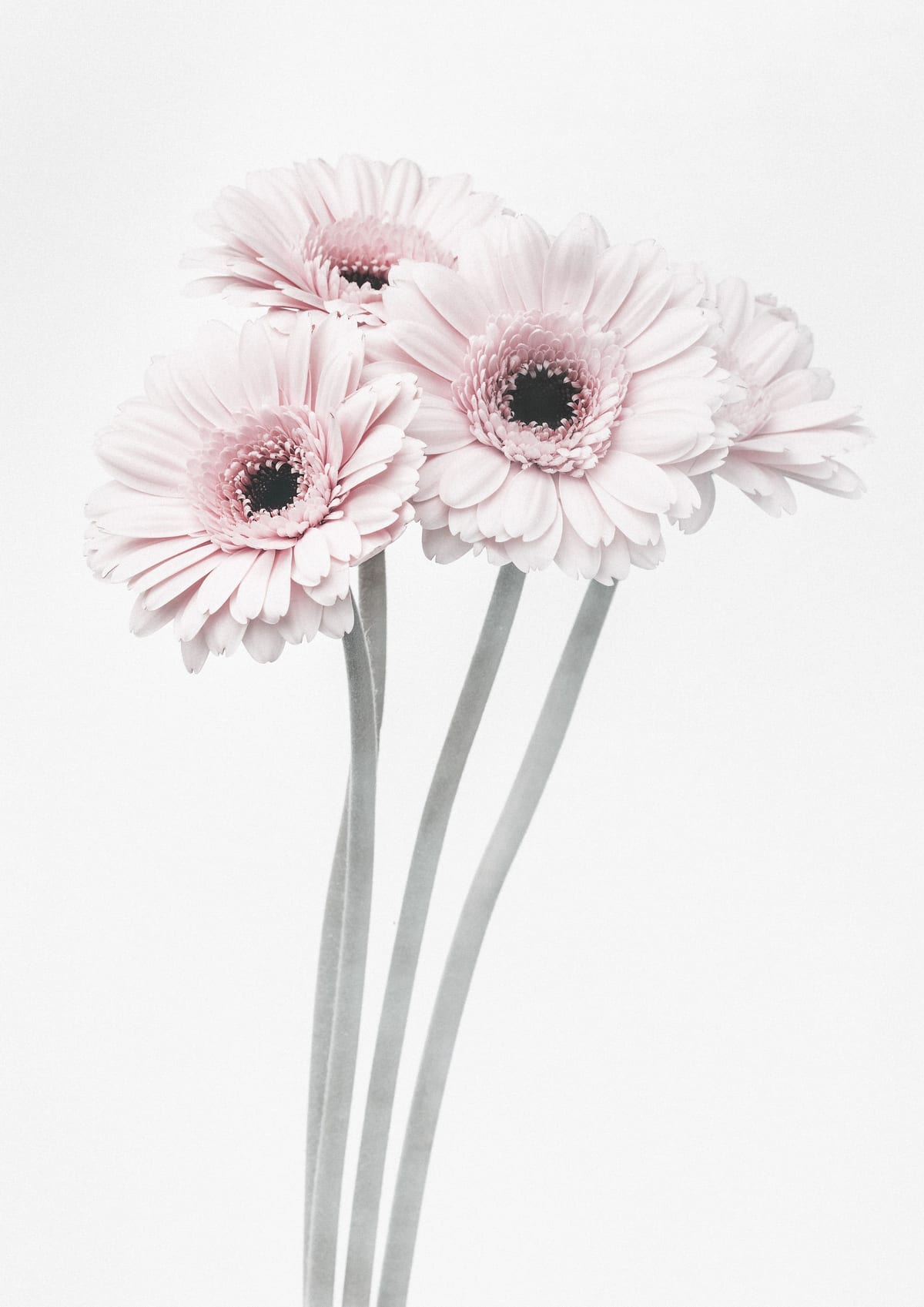 variant-21x30_no-margin