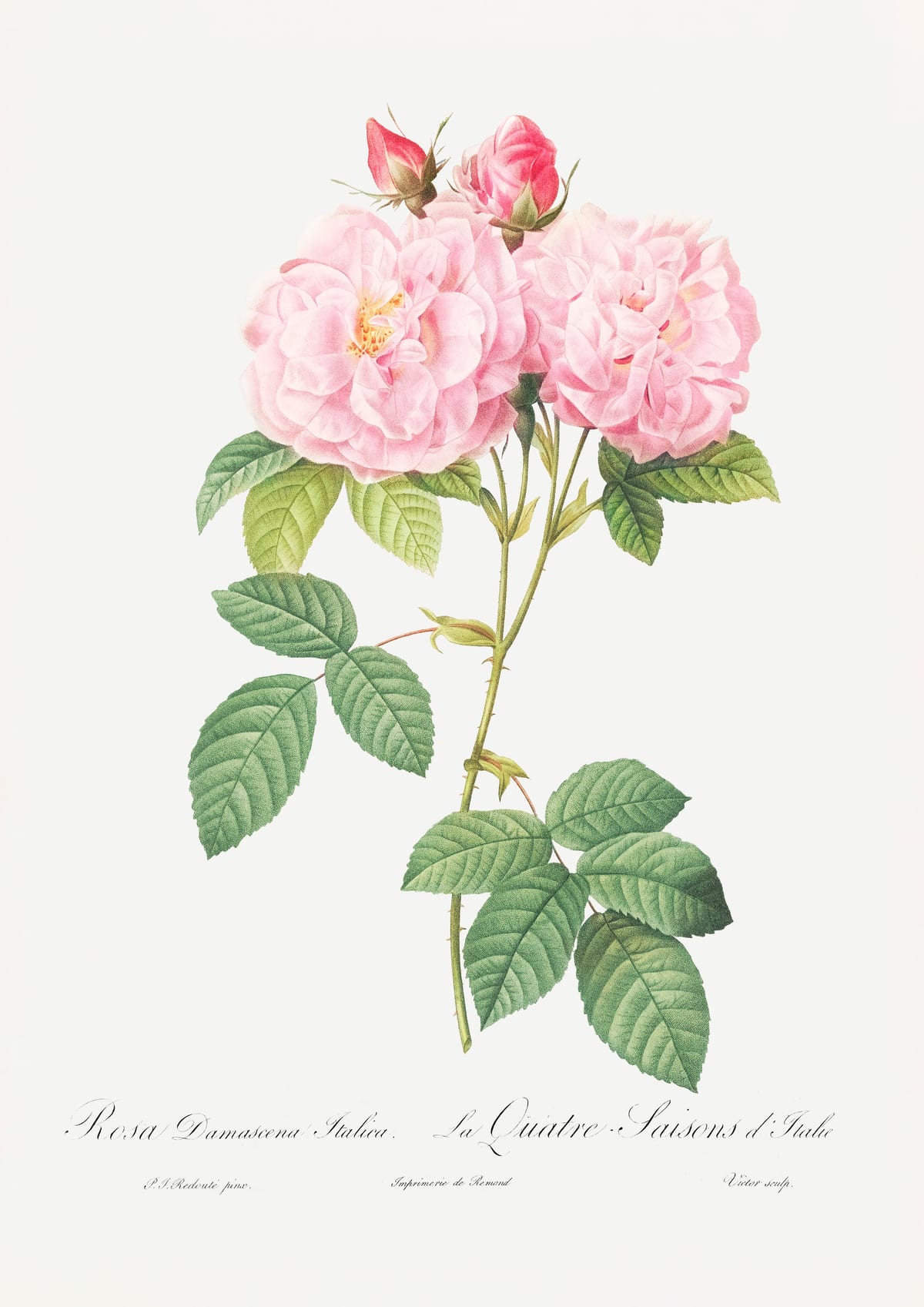 variant-21x30_no-margin