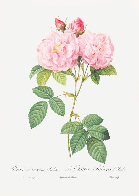 variant-21x30_no-margin