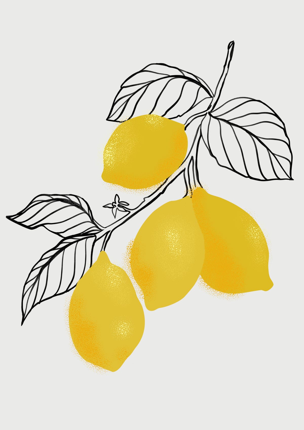 variant-21x30_no-margin