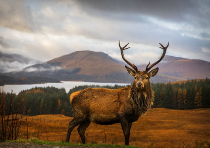 variant-21x30_no-margin