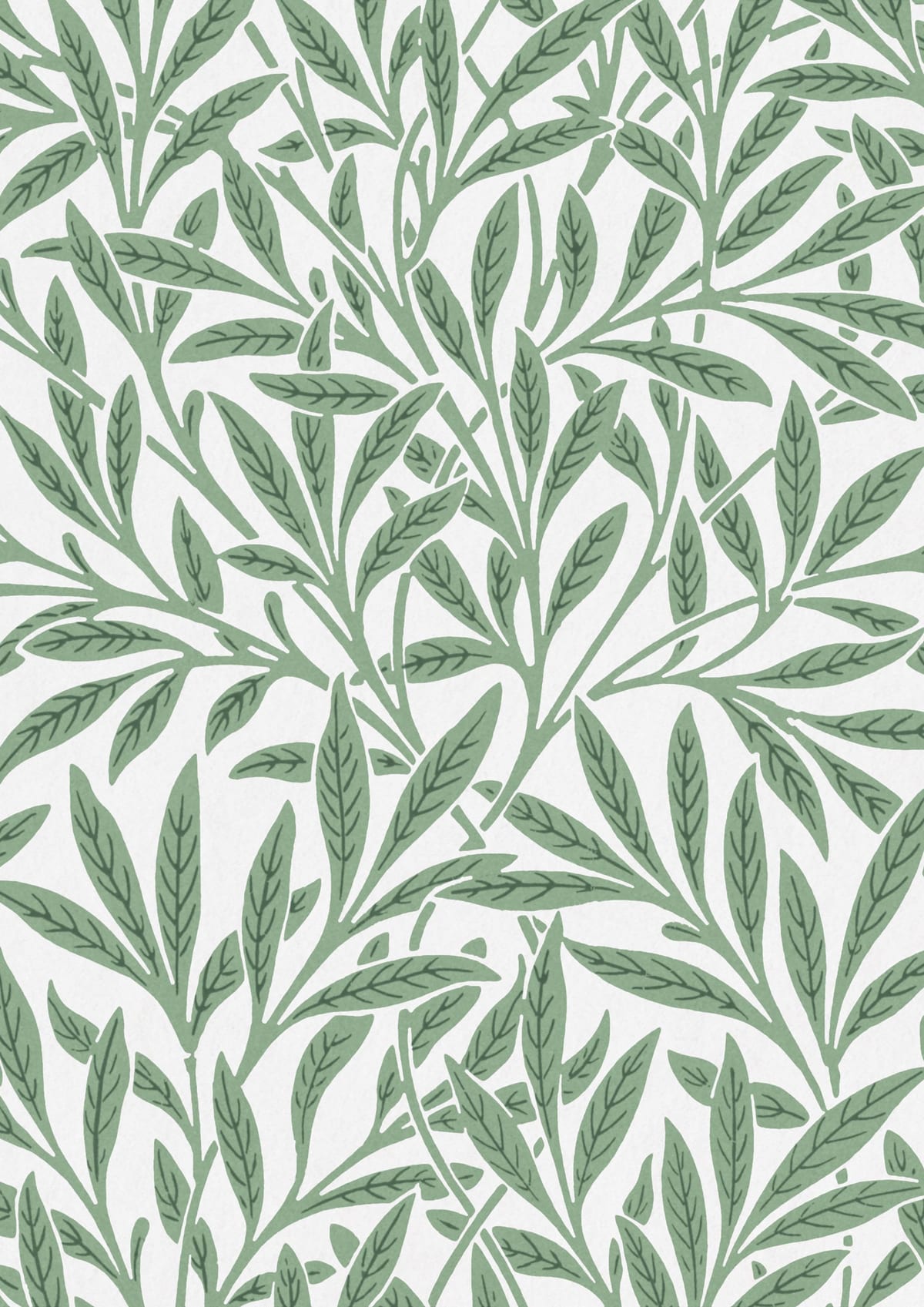 variant-21x30_no-margin