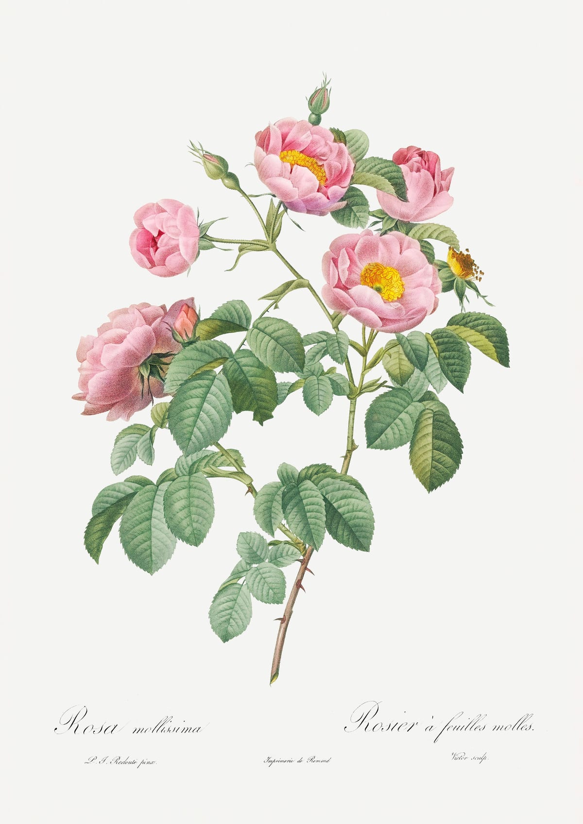 variant-21x30_no-margin