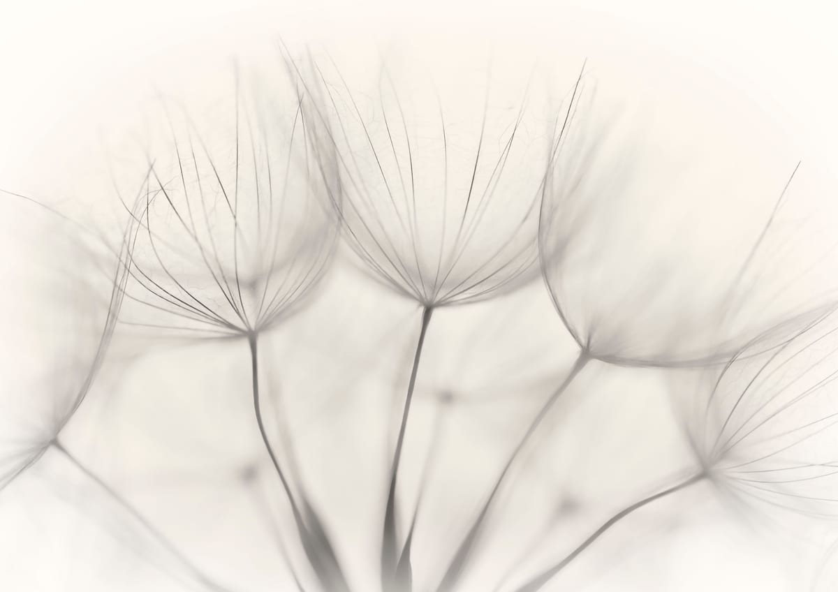 variant-21x30_no-margin
