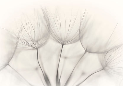 variant-21x30_no-margin