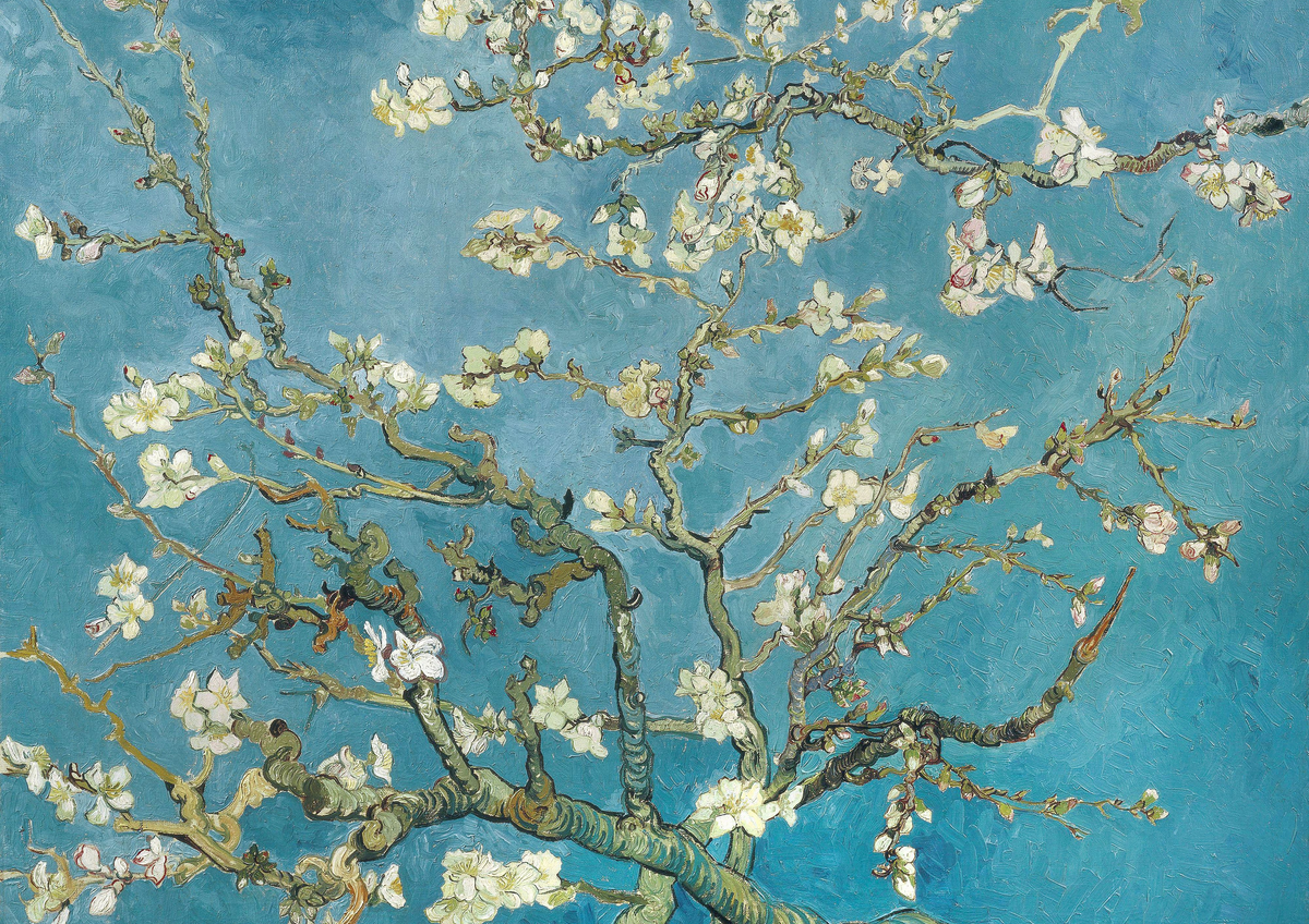 variant-21x30_no-margin