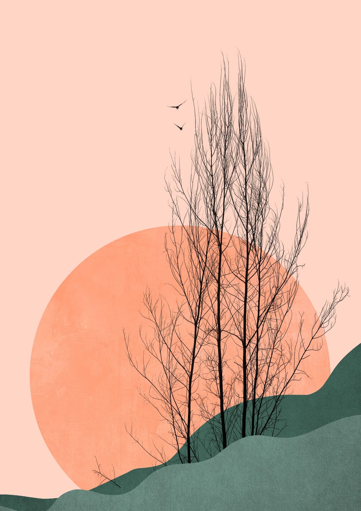 variant-21x30_no-margin
