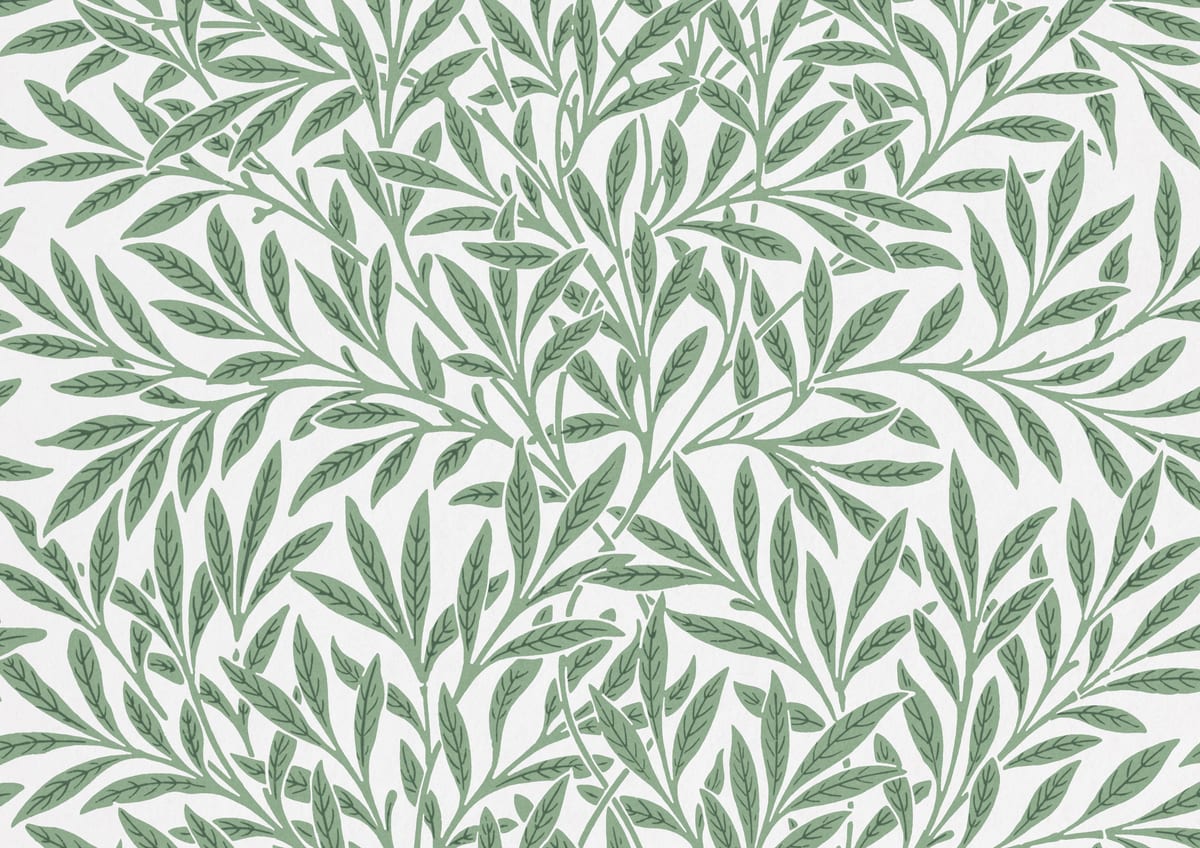 variant-21x30_no-margin
