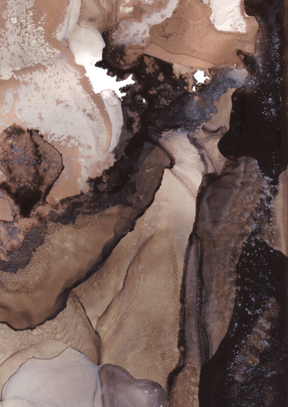 variant-21x30_no-margin