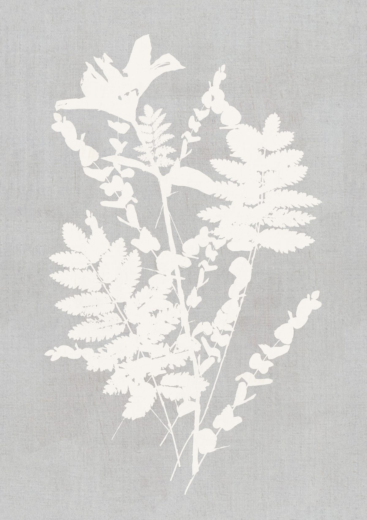 variant-21x30_no-margin