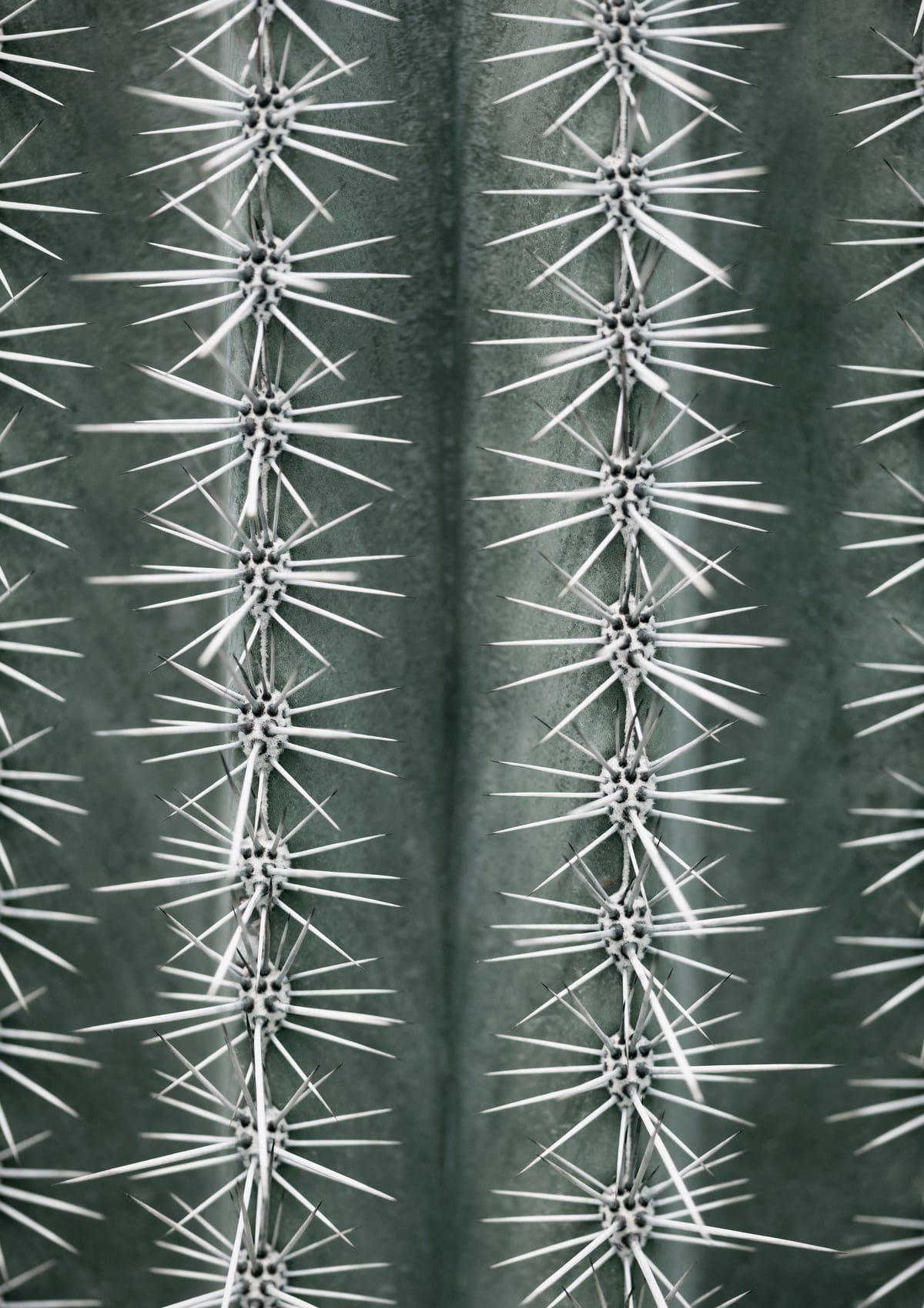 variant-21x30_no-margin