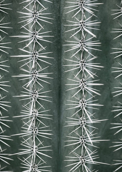 variant-21x30_no-margin