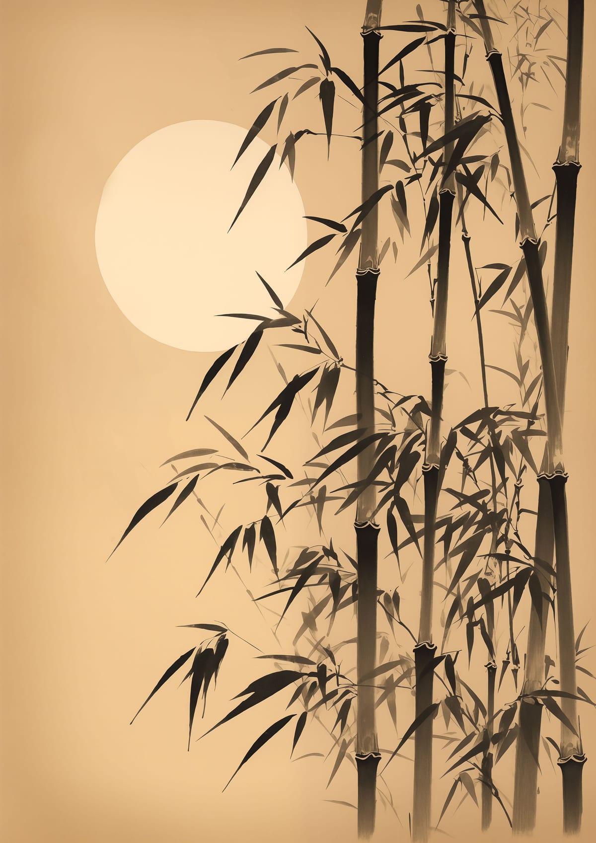 variant-21x30_no-margin