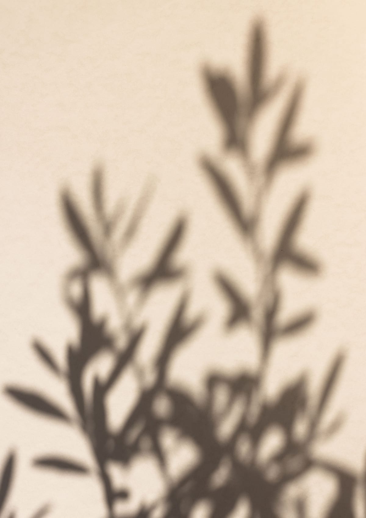 variant-21x30_no-margin