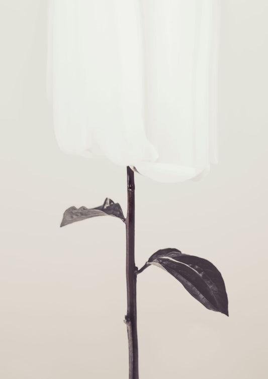 variant-21x30_no-margin