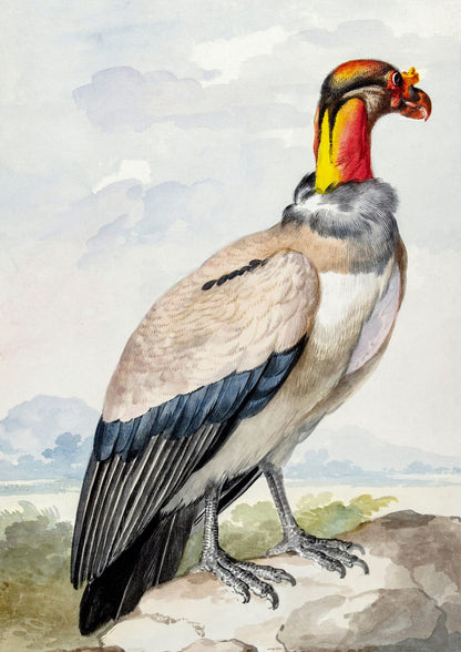 variant-21x30_no-margin