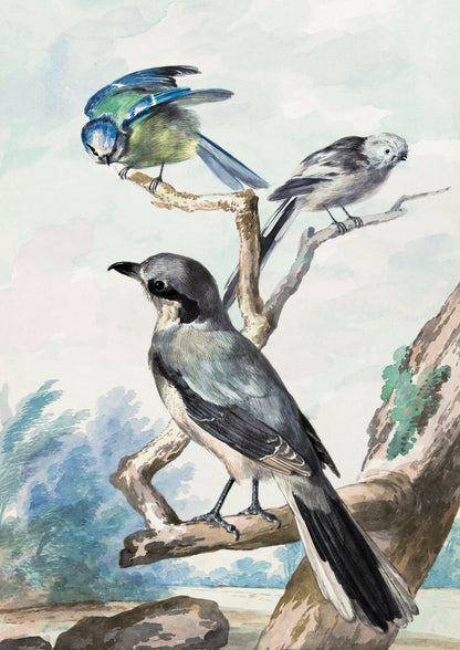 variant-21x30_no-margin