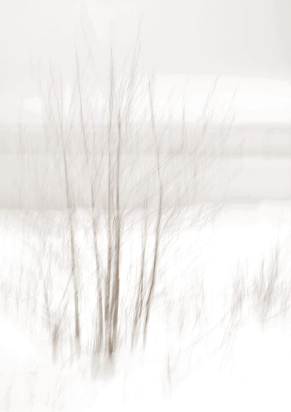 variant-21x30_no-margin