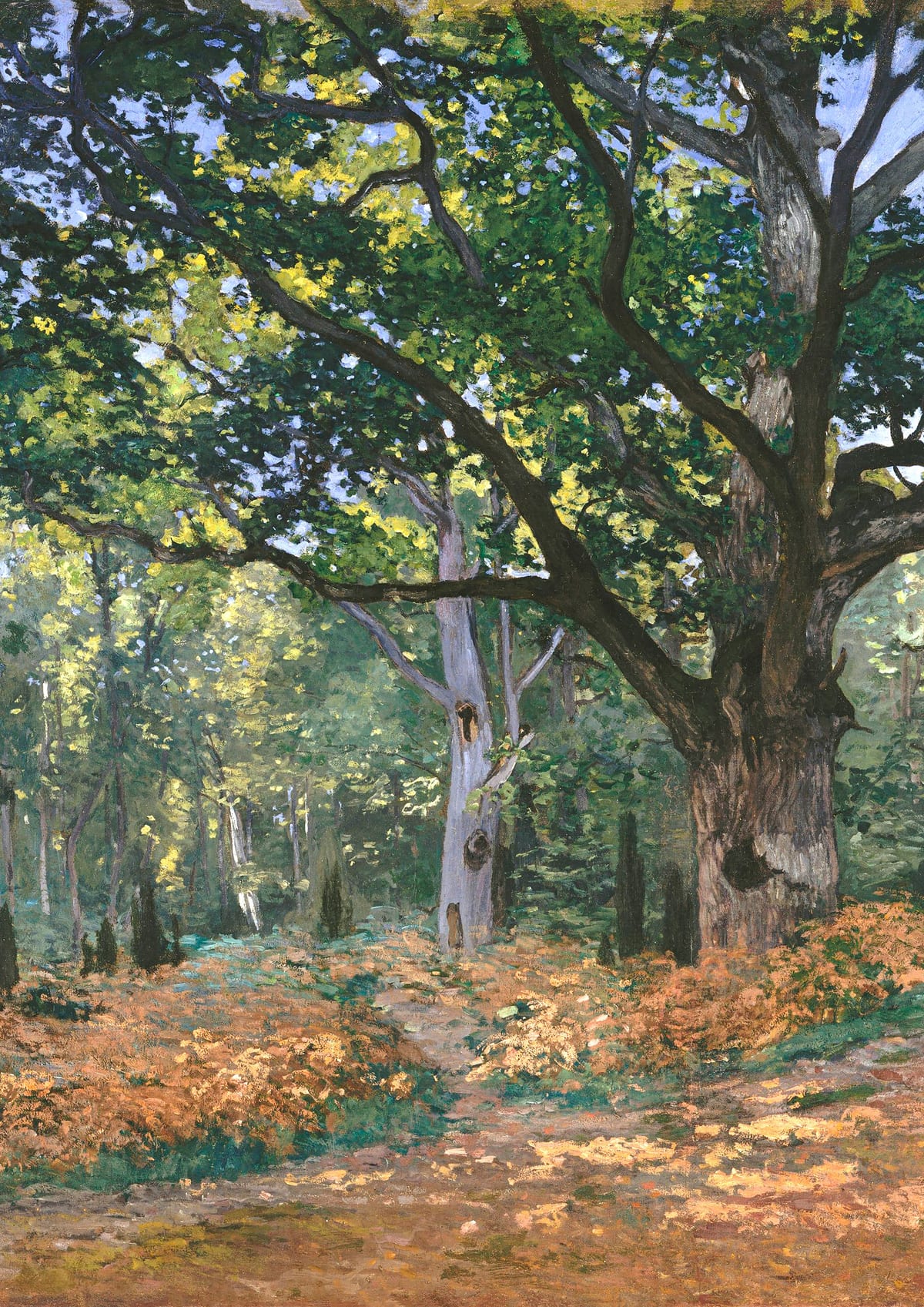 variant-21x30_no-margin