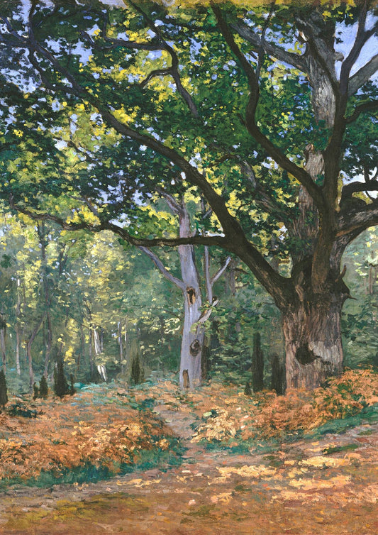 variant-21x30_no-margin