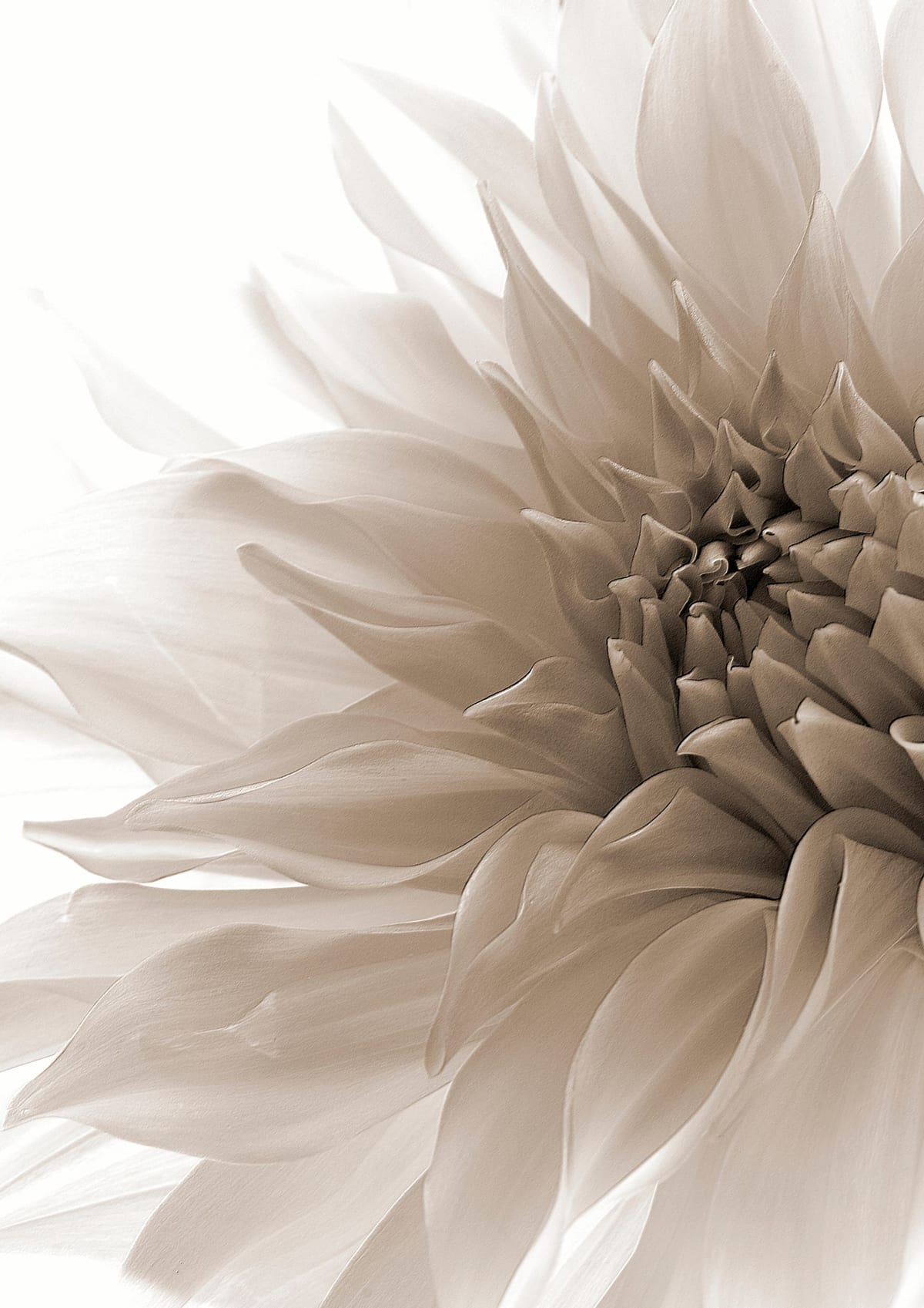 variant-21x30_no-margin