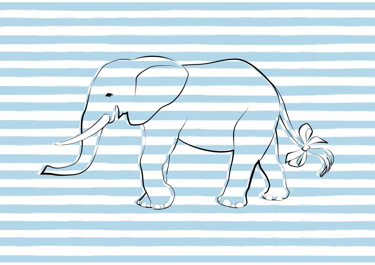variant-21x30_no-margin
